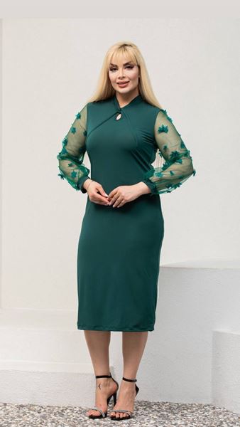 Picture of CURVY GIRL DRESS WITH FLOWERS AND CHIFFON SLEEVE